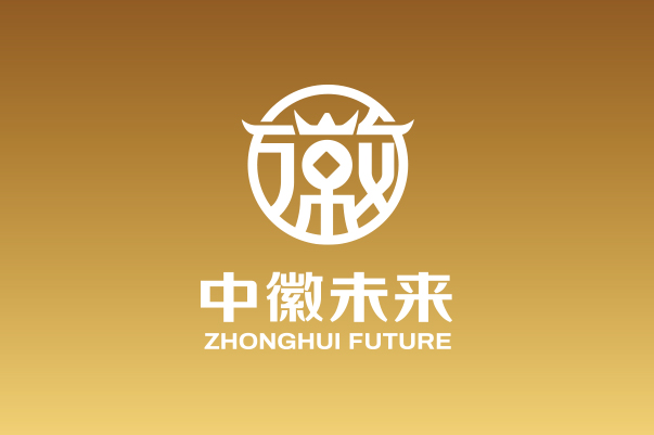 中徽未来全案设计